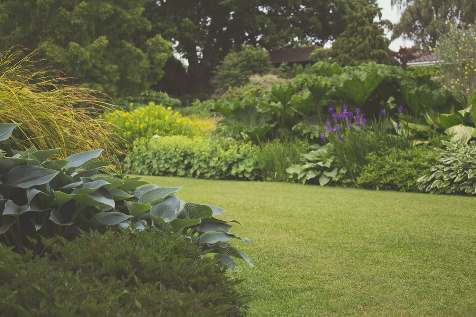 Professional landscaping and outdoor design project