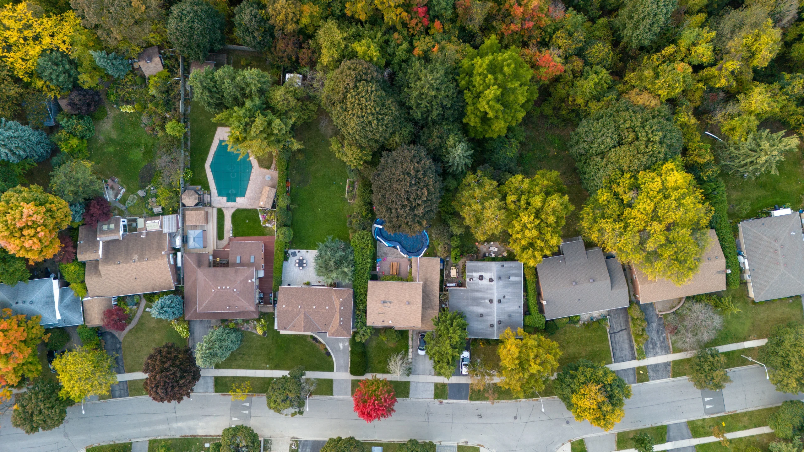 SEO for Pool Builders in Connecticut